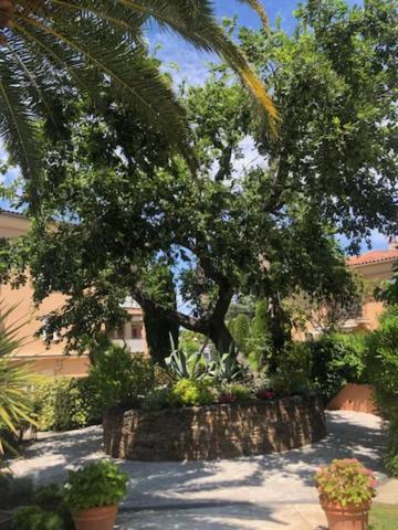 Belle Residence Au Centre De Saint Tropez Avec Piscine Et Garage Exterior photo